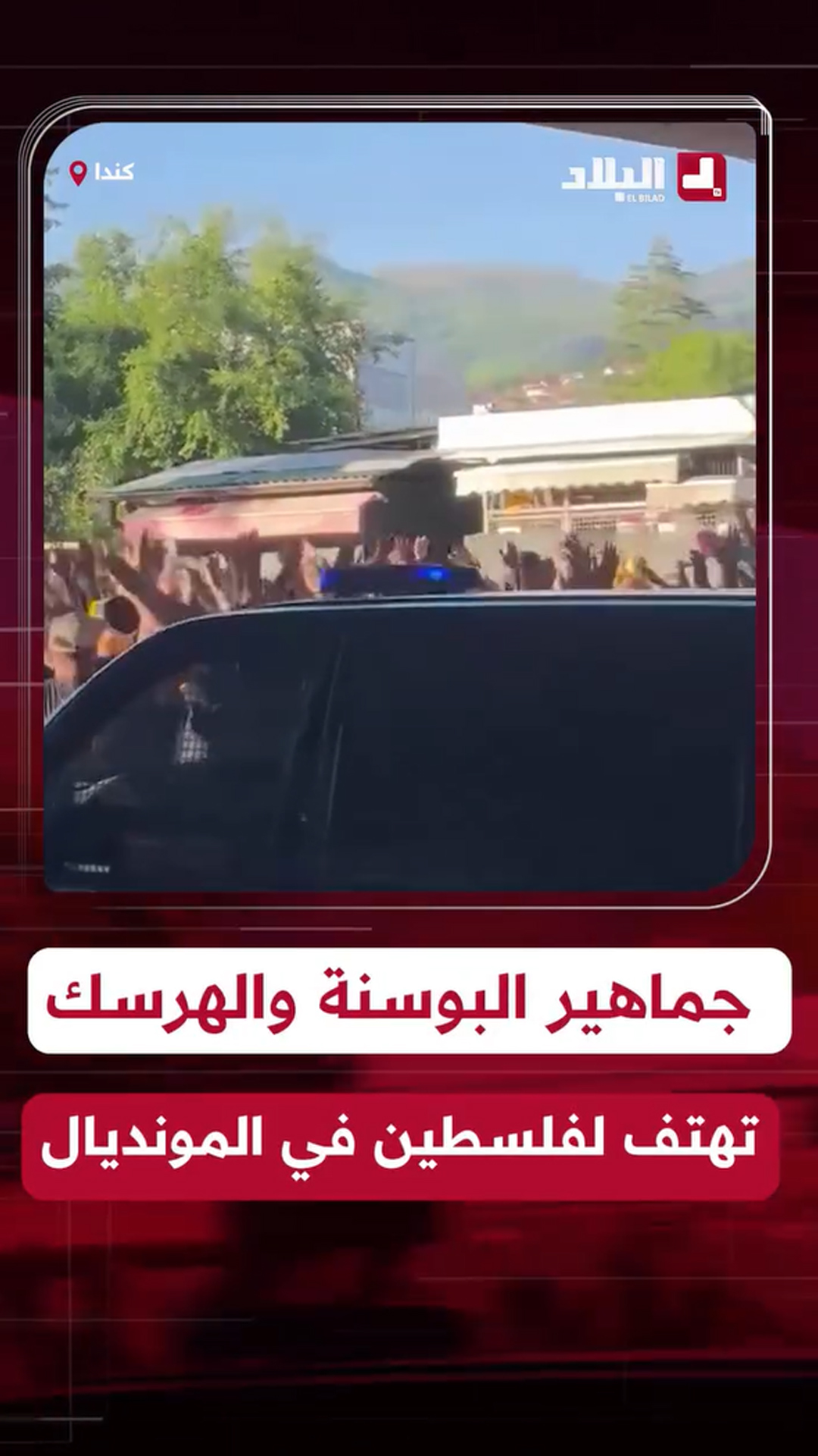 جماهير البوسنة والهرسك تهتف لفلسطين في المونديال
